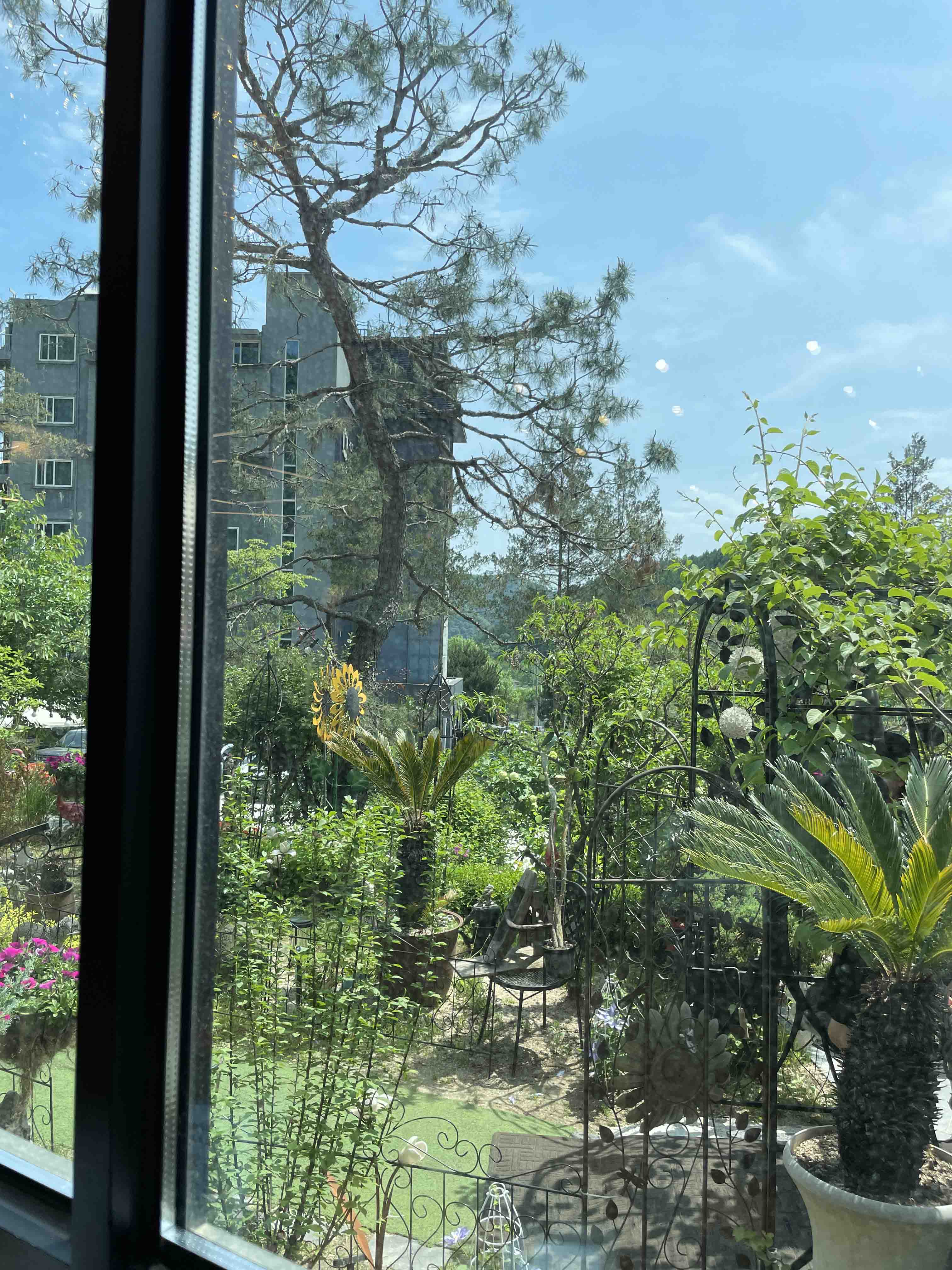 남양주 숨은 맛집