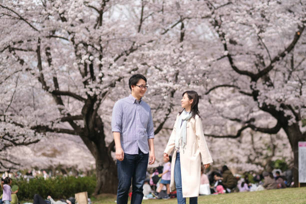 여의도 윤중로, 경주 보문호, 석촌호수 연인 벚꽃 데이트 코스 추천