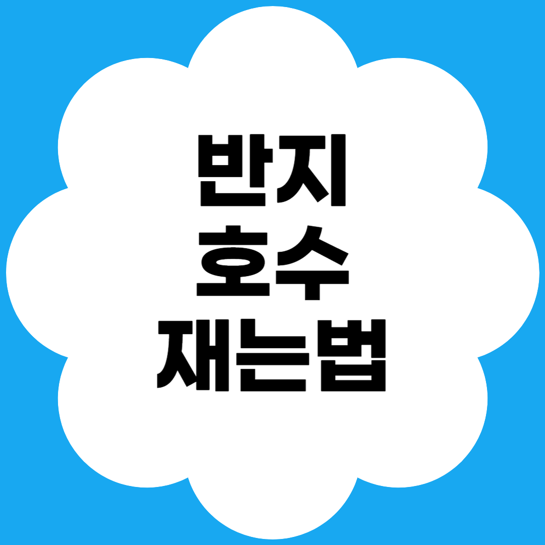 반지 호수 재는법