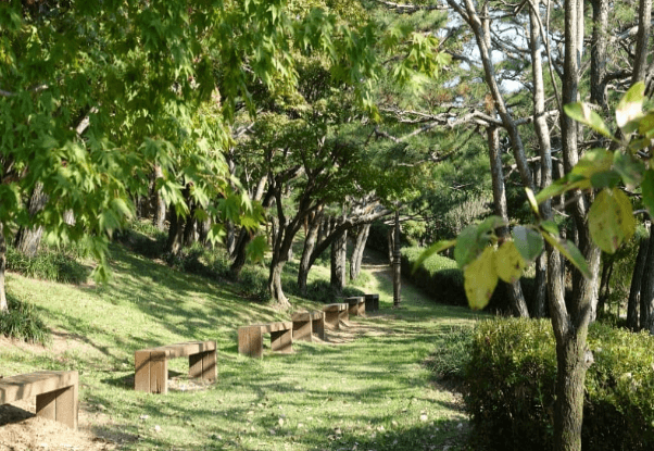 국립김해박물관