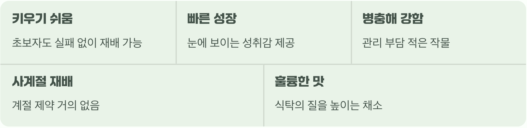 텃밭이 주는 작은 위로와 자신감