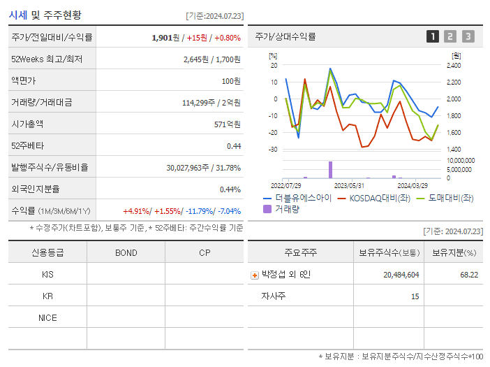 더블유에스아이_기업개요