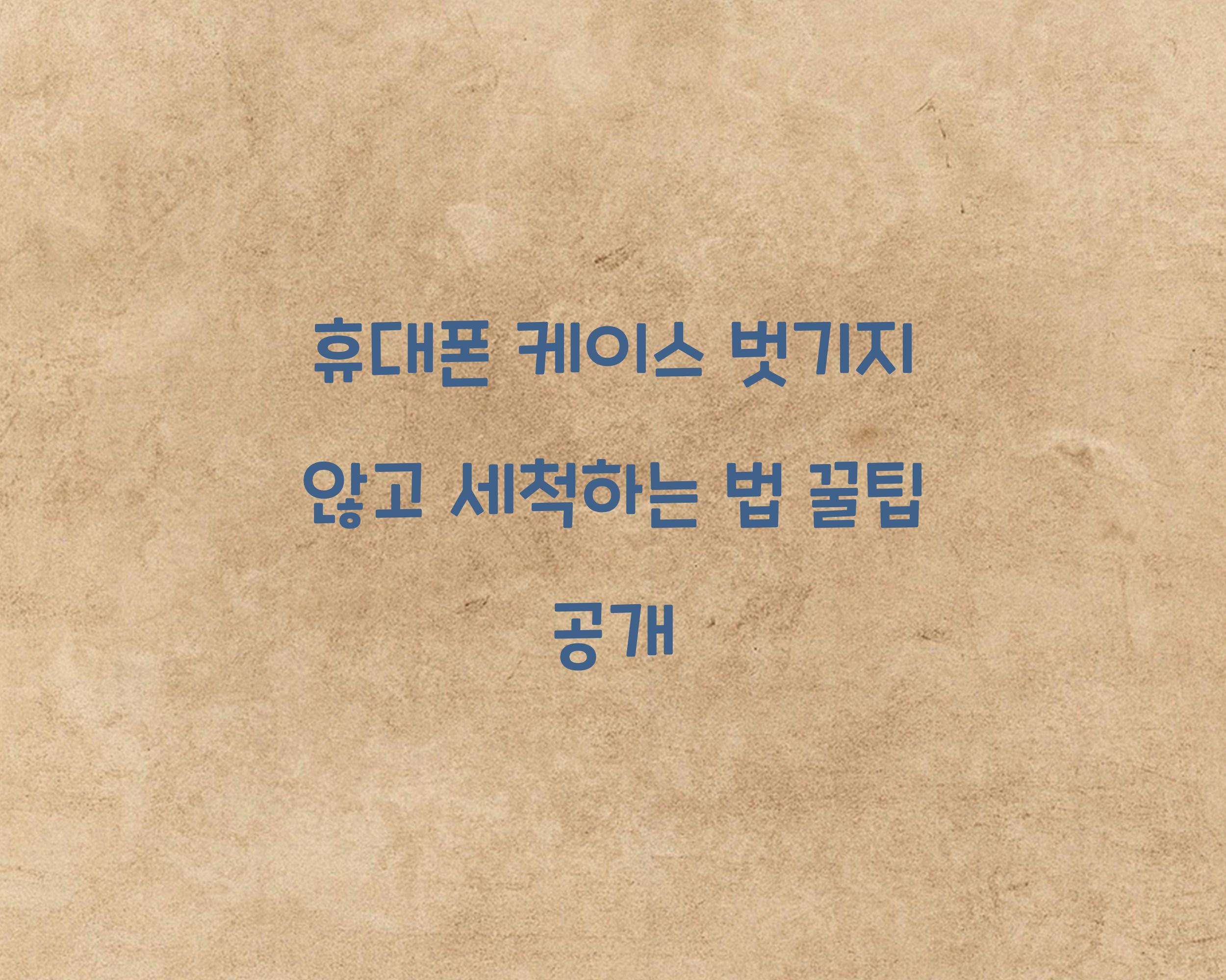 휴대폰 케이스 벗기지 않고 세척하는 법