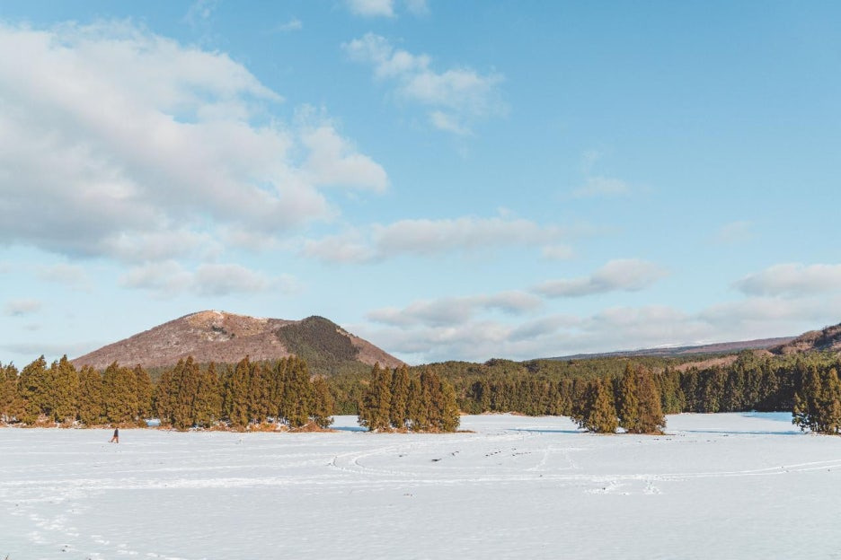 제주 겨울여행 나만의 취향으로 만나는 7가지 여행