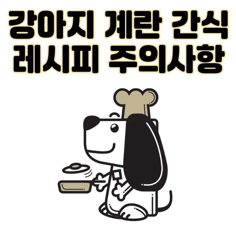 강아지 수제 계란 간식 레시피 주의사항