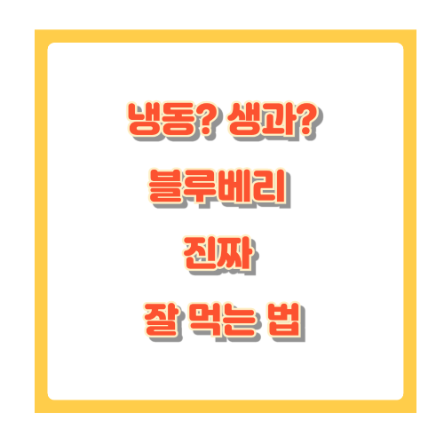 냉동? 생과? 블루베리 진짜 잘 먹는 법, 보관법&middot;레시피&middot;제품 추천까지!