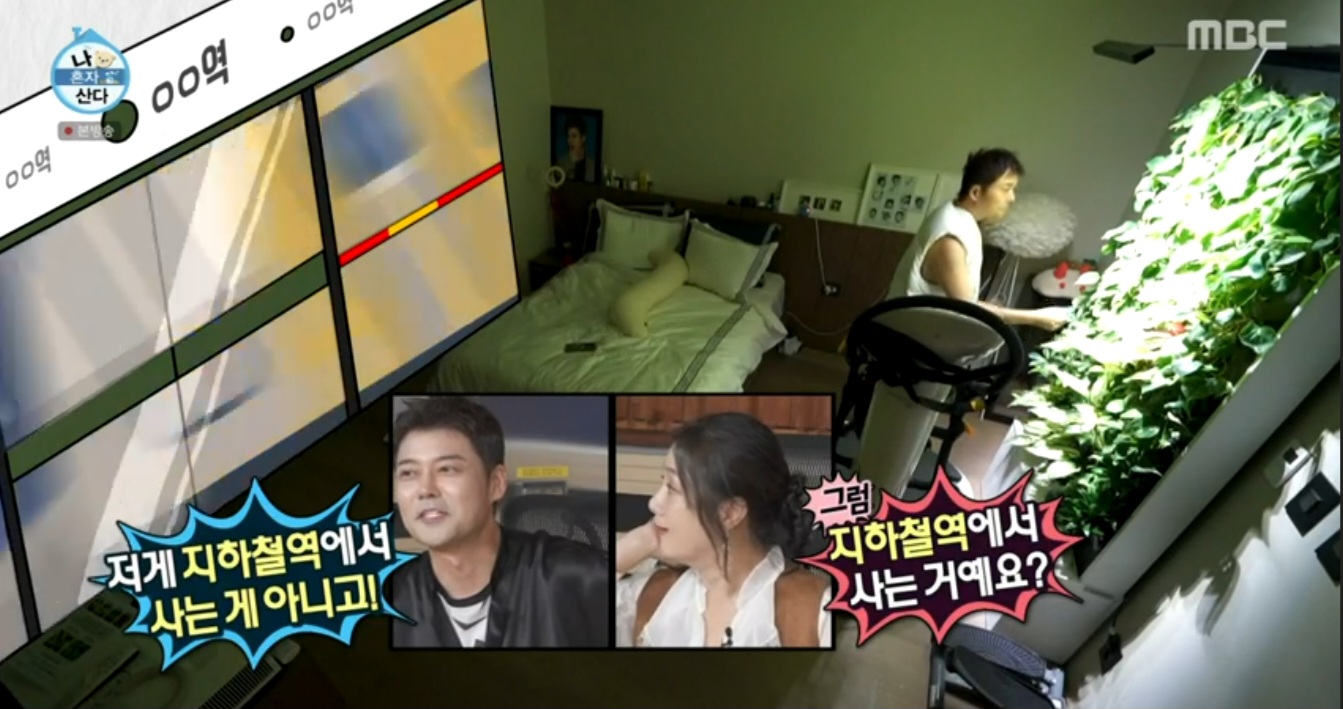 나혼자 산다 609화 전현무 실내정원, 공기정화 식물