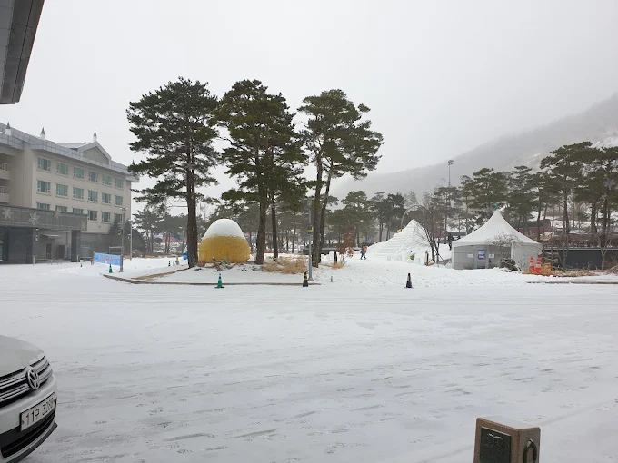 정선 '하이원 컨트리클럽' 소개 및 이용방법