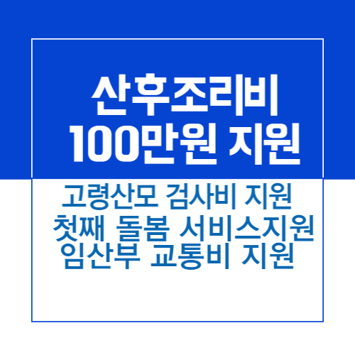 제목_서울시 산후조리비 100만 원 지원_고령 산모 검사비 지원