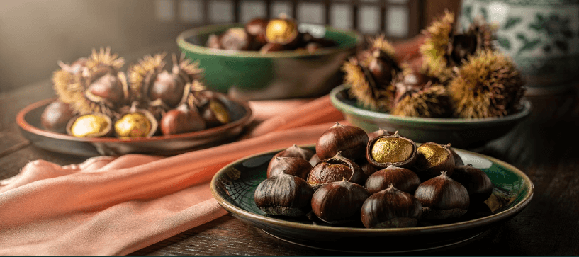 밤 보관하는 방법