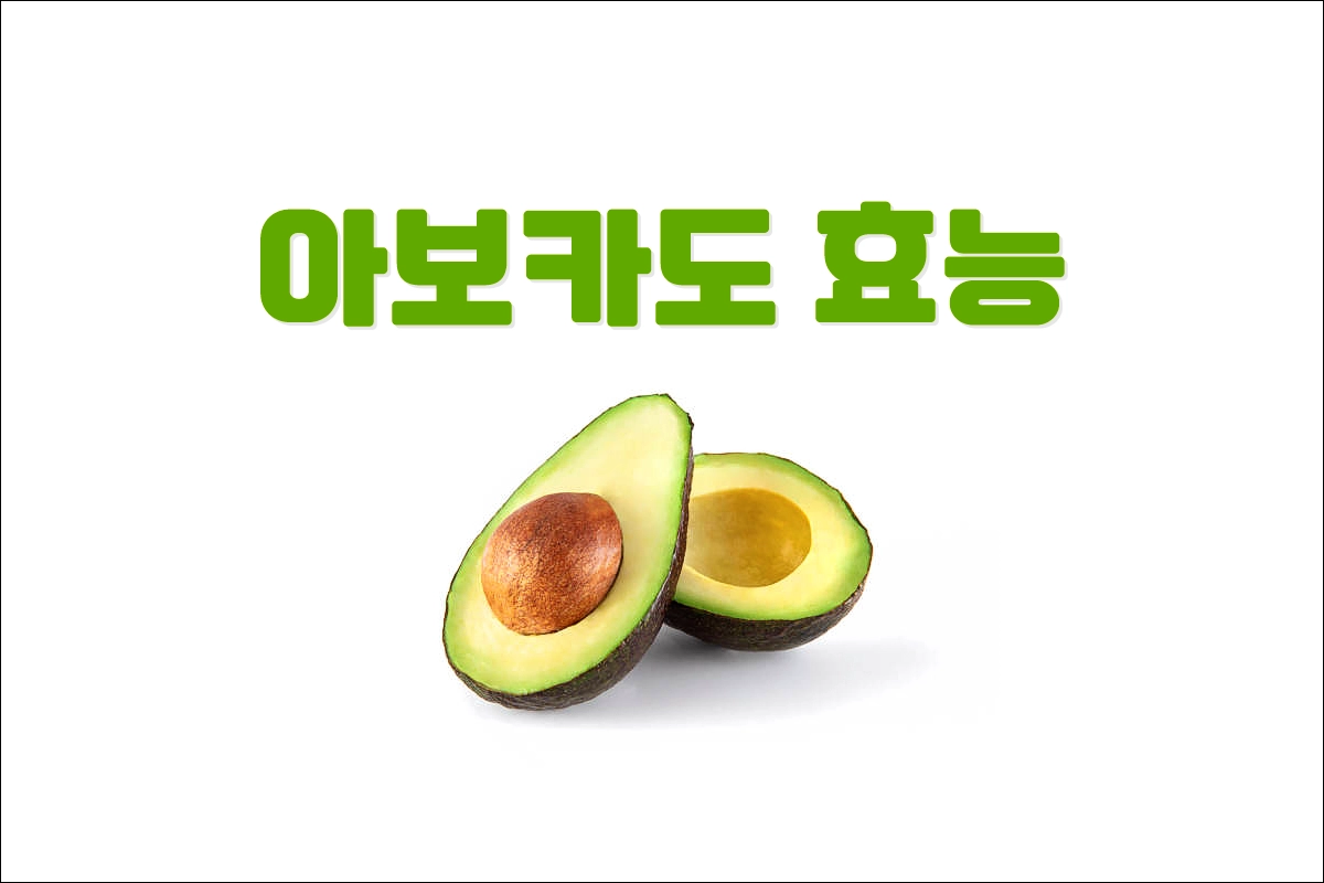 아보카도 효능 부작용 고르는법 익히는법 손질방법 보관방법