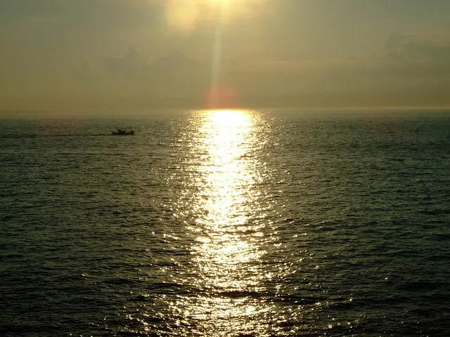 실시간 제주도 제주날씨 주간예보로_5