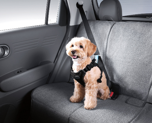 현대 캐스퍼 내부 디자인