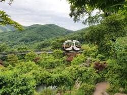 2024 화담숲 모노레일 예약방법 가을 단풍