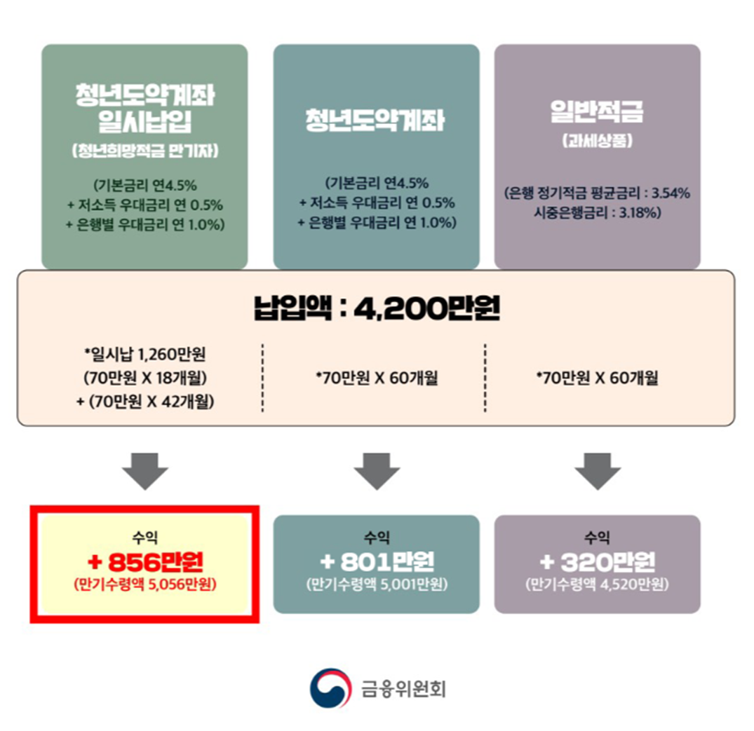 청년도약계좌 일시납입
