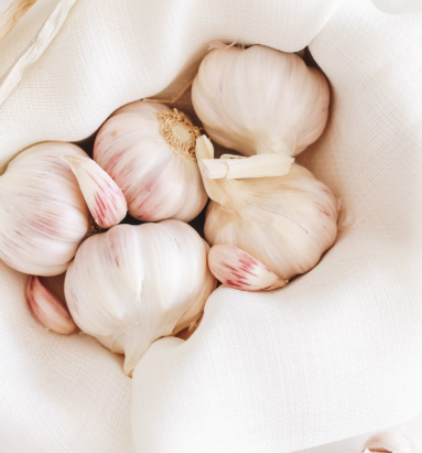 마늘 효능 효과 부작용 당뇨 혈관 건강