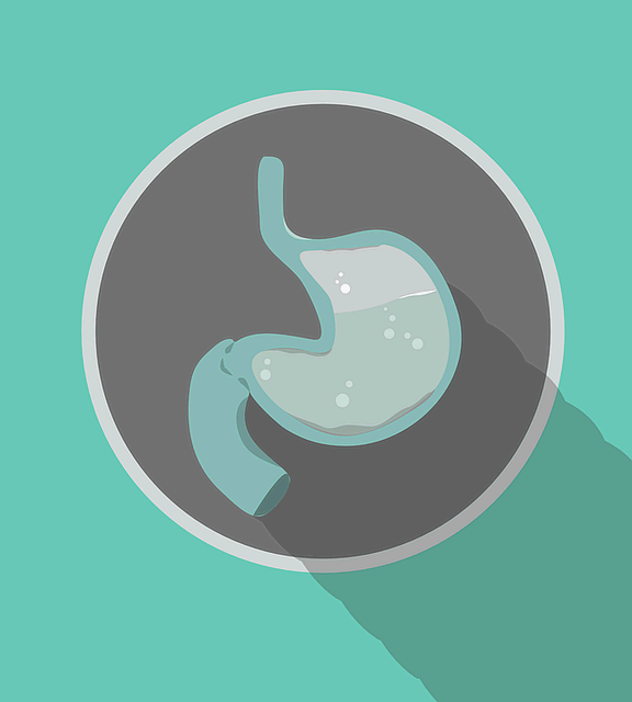 음식믈을 잘 혼합하고 소화시키는데 도움이 되는 위