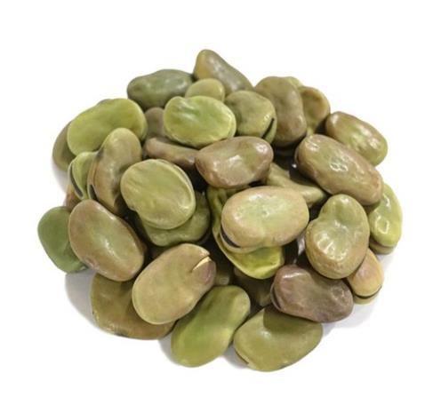 자이언트 파바빈