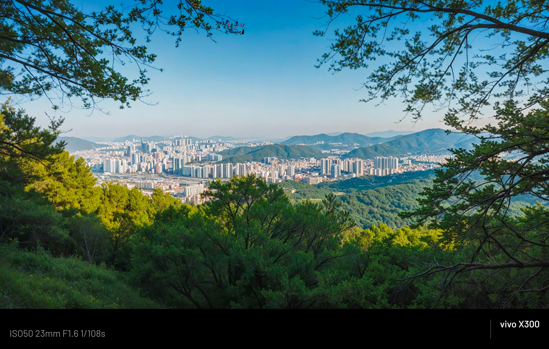 백양산 등산로 사이로 보이는 가야와 부산 도심 풍경