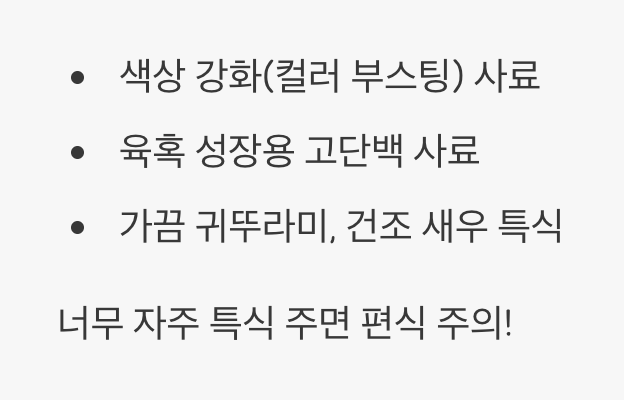먹이 - '워터독'을 위한 영양 만점 식단