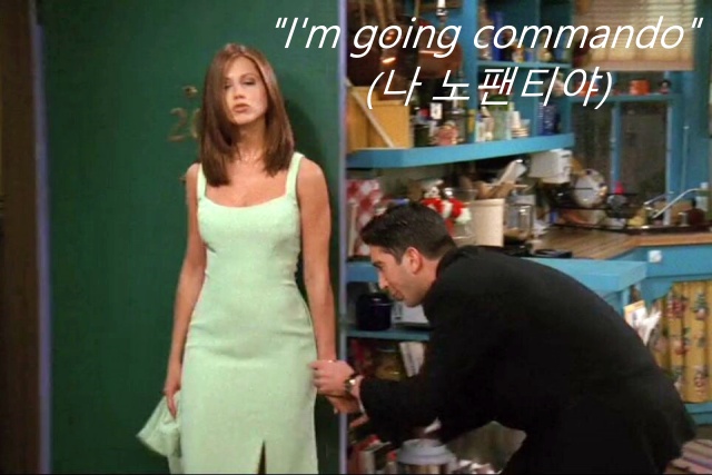 넷플릭스 시트콤 프렌즈 코만도, 건강 팁줌 매일꿀정보