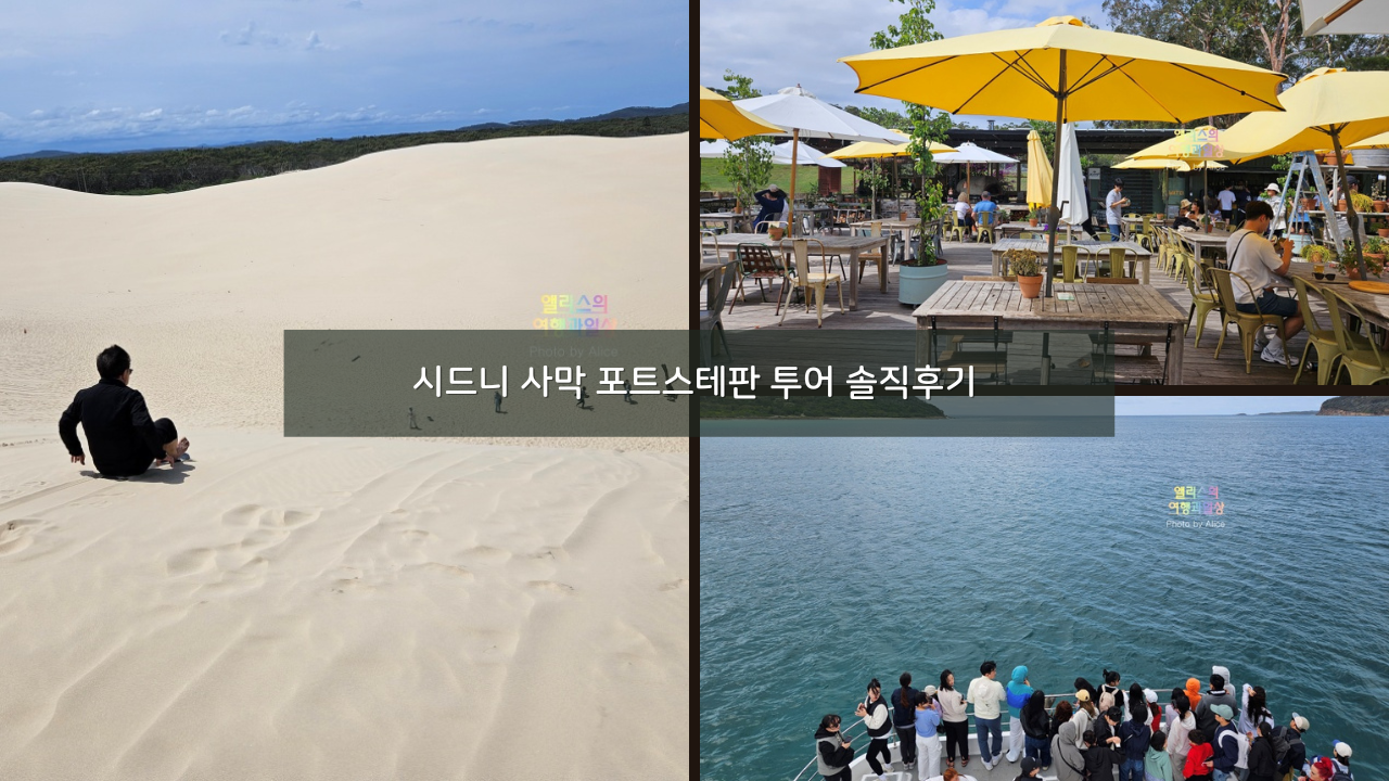 호주 시드니 사막 포트스테판 투어 솔직후기 가격 코스 야생 돌고래 크루즈