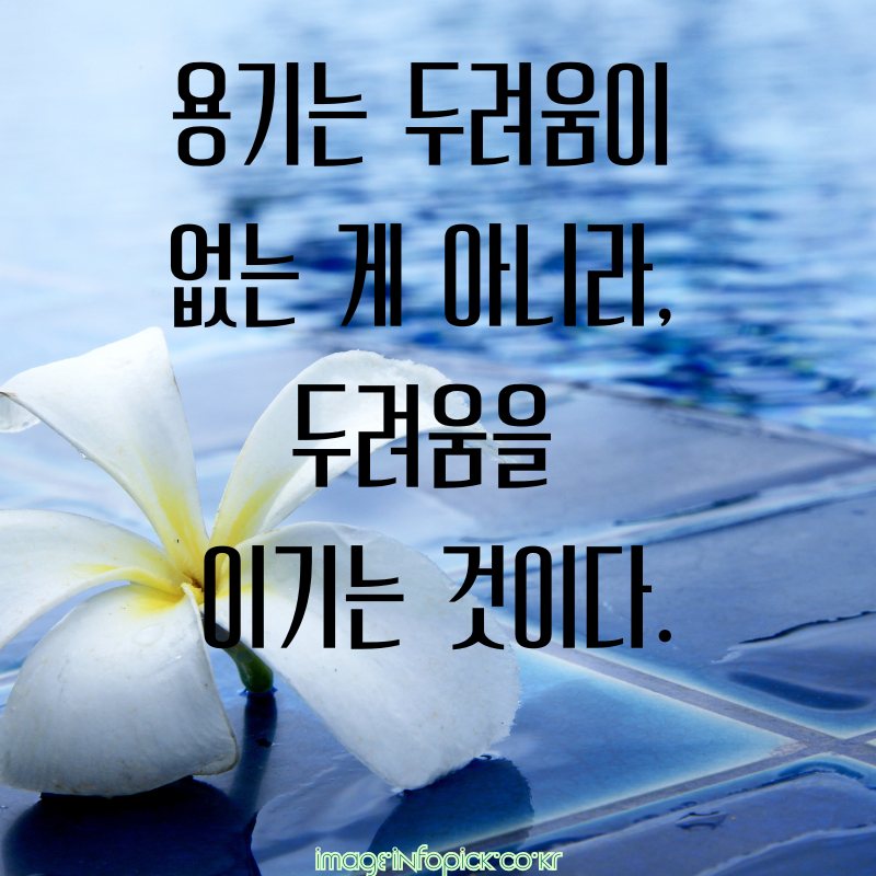 캘리그라피 글귀 좋은 명언 글씨체