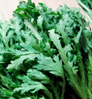 쑥갓의 효능 부작용 고르는법 칼로리 꽃