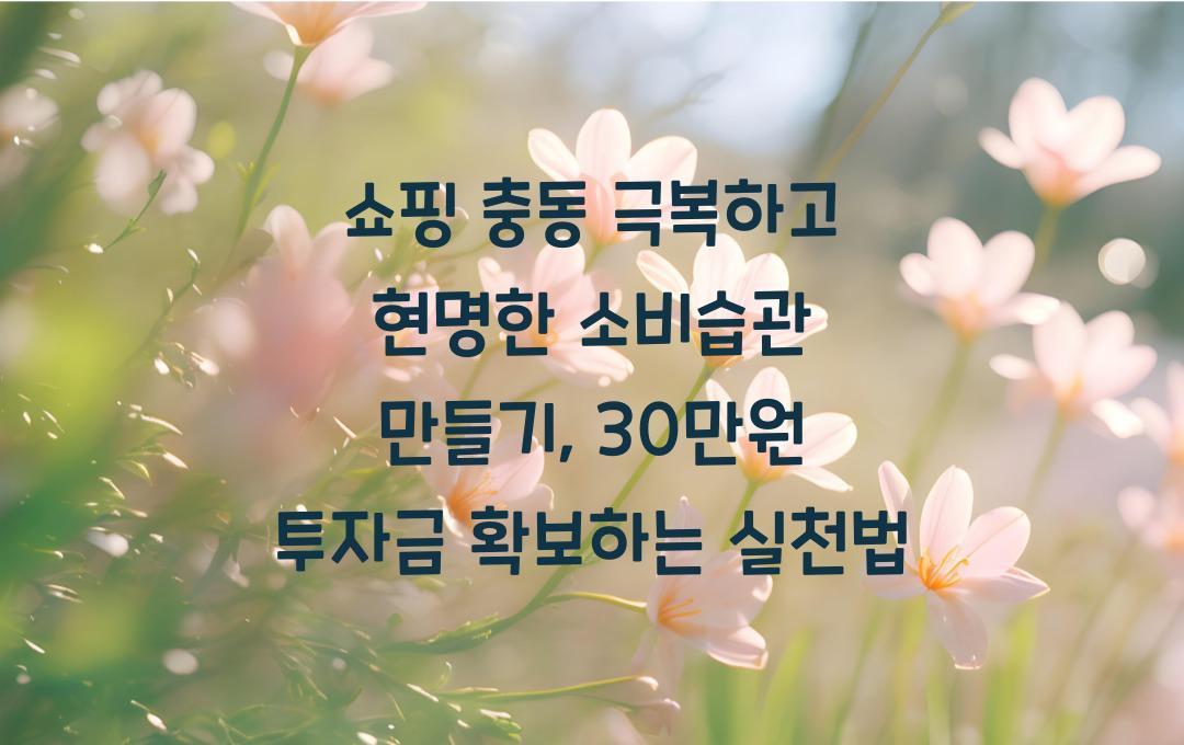  쇼핑 충동 극복하고 현명한 소비습관 만들기: 한 달에 30만원 투자금 확보 프로젝트