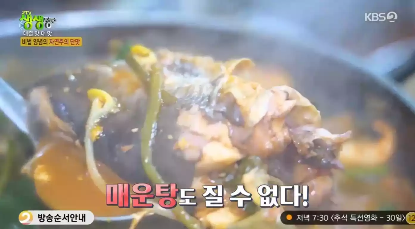 메기매운탕