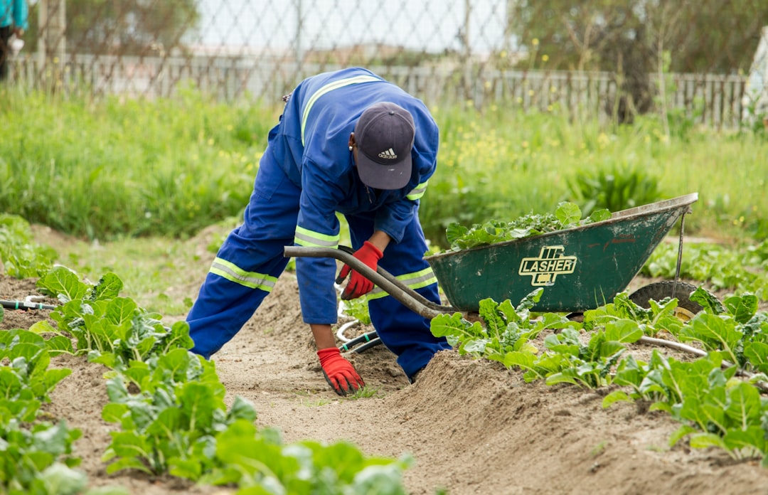 Planting