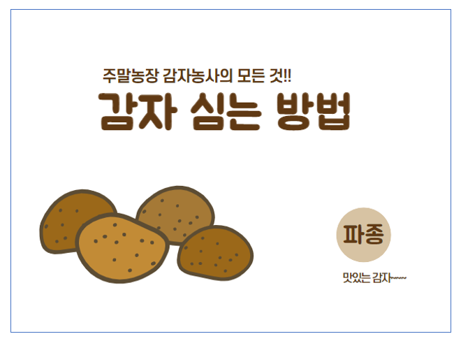 감자