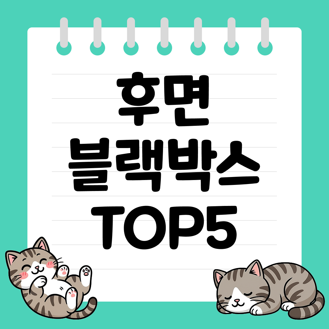 후방 추돌 사고 걱정된다면 후면 블랙박스 추천 순위 TOP5