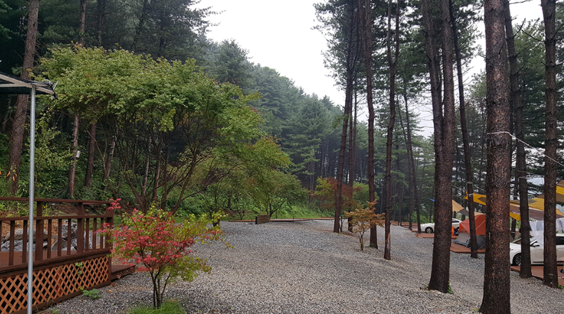 경기-가평-캠프수풀이-캠핑장-사진-입니다.