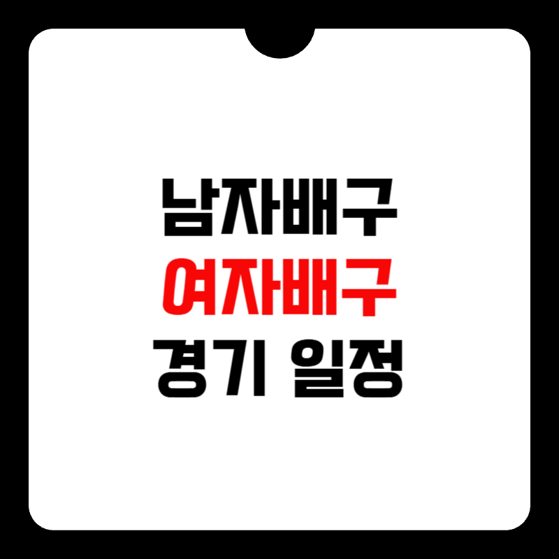 국가대표-배구-경기일정-썸네일