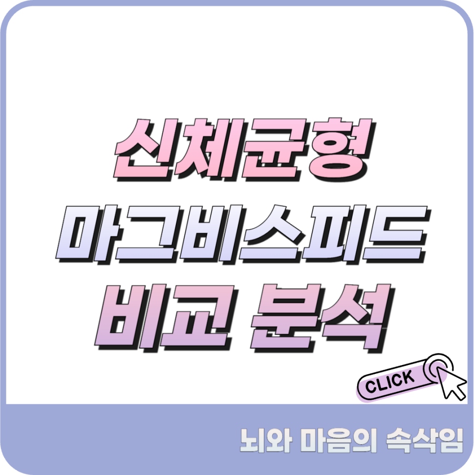 마그비스피드 추천