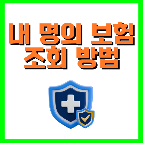 내 명의 보험 조회 방법