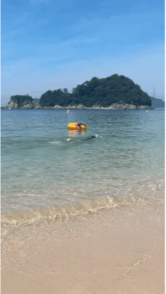 비진도 배시간표 예매 요금 배편 예약_4
