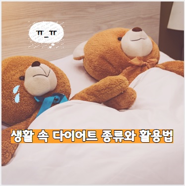 생활 속 다이어트 종류와 활용법