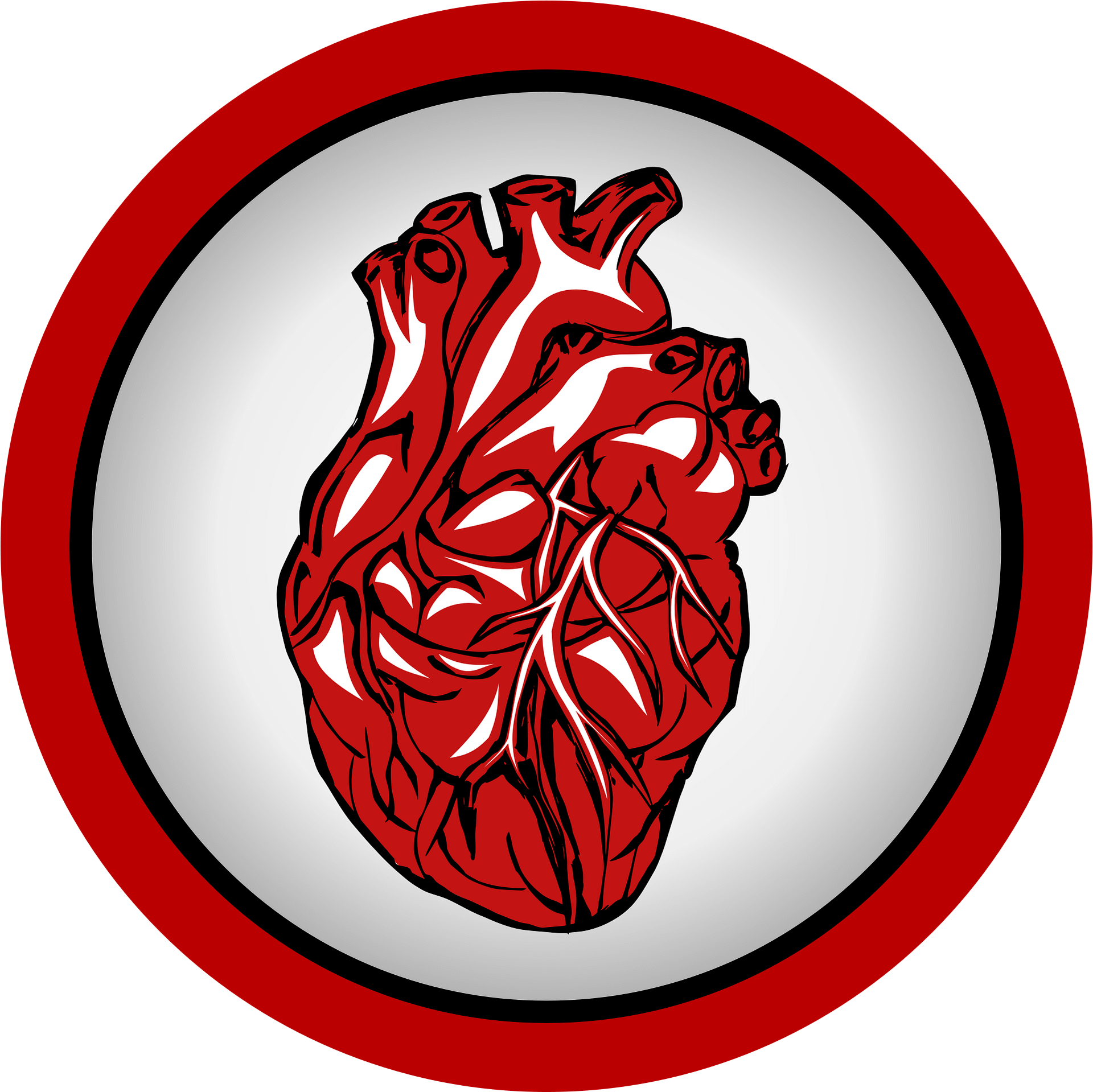 심장 두근거림 원인 총정리 &mdash; 스트레스부터 부정맥까지