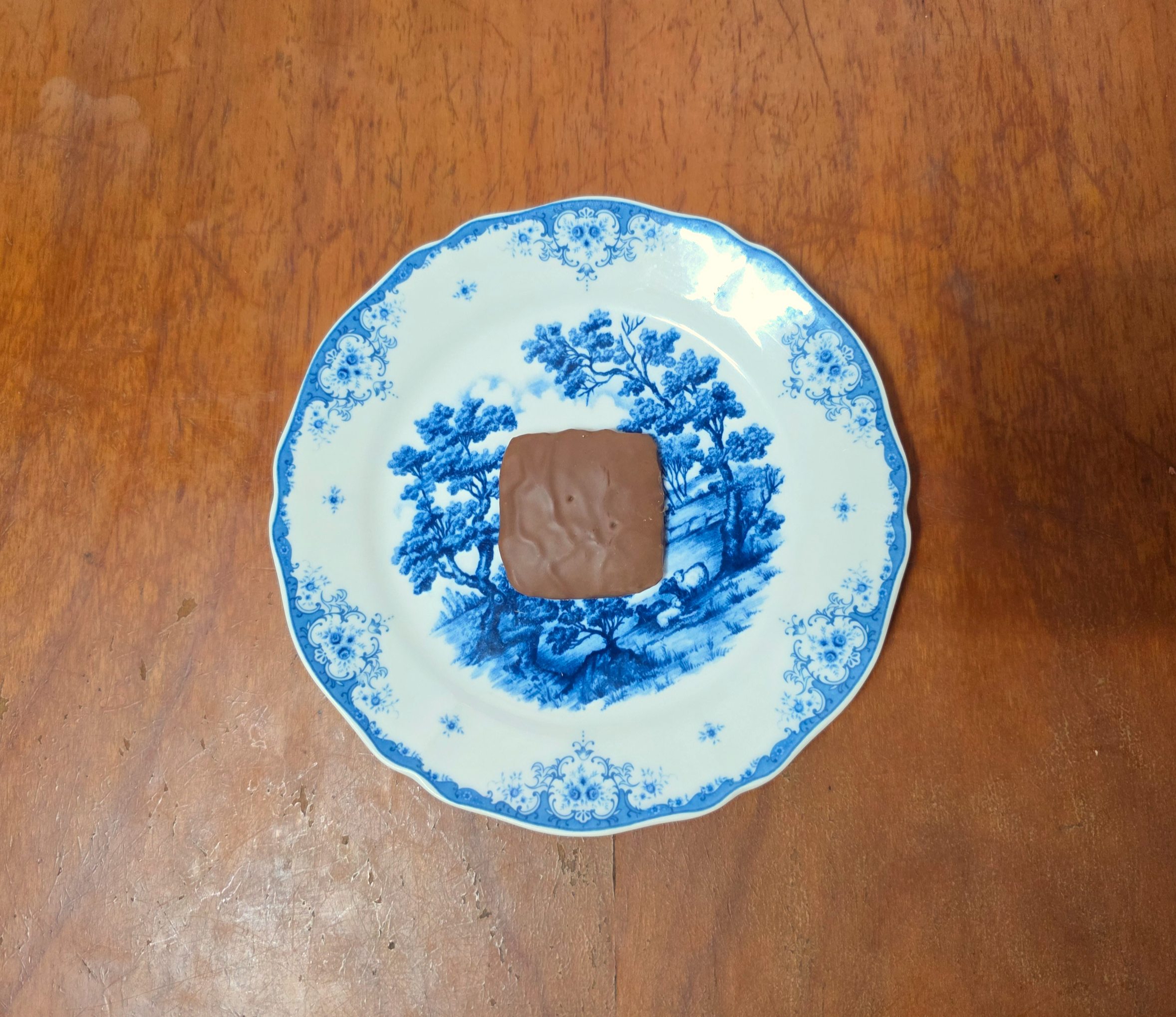 일본여행선물안테노르카카오비스킷오쇼콜라