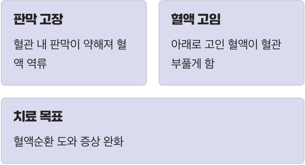문제의 시작&amp;#44; 우리 다리 혈관에 무슨 일이?
