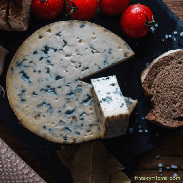 푸른 곰팡이 블루치즈