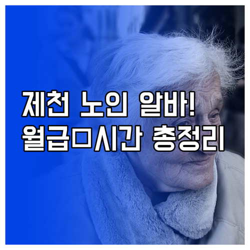 제천 노인 일자리 유형별 활동 시간과..