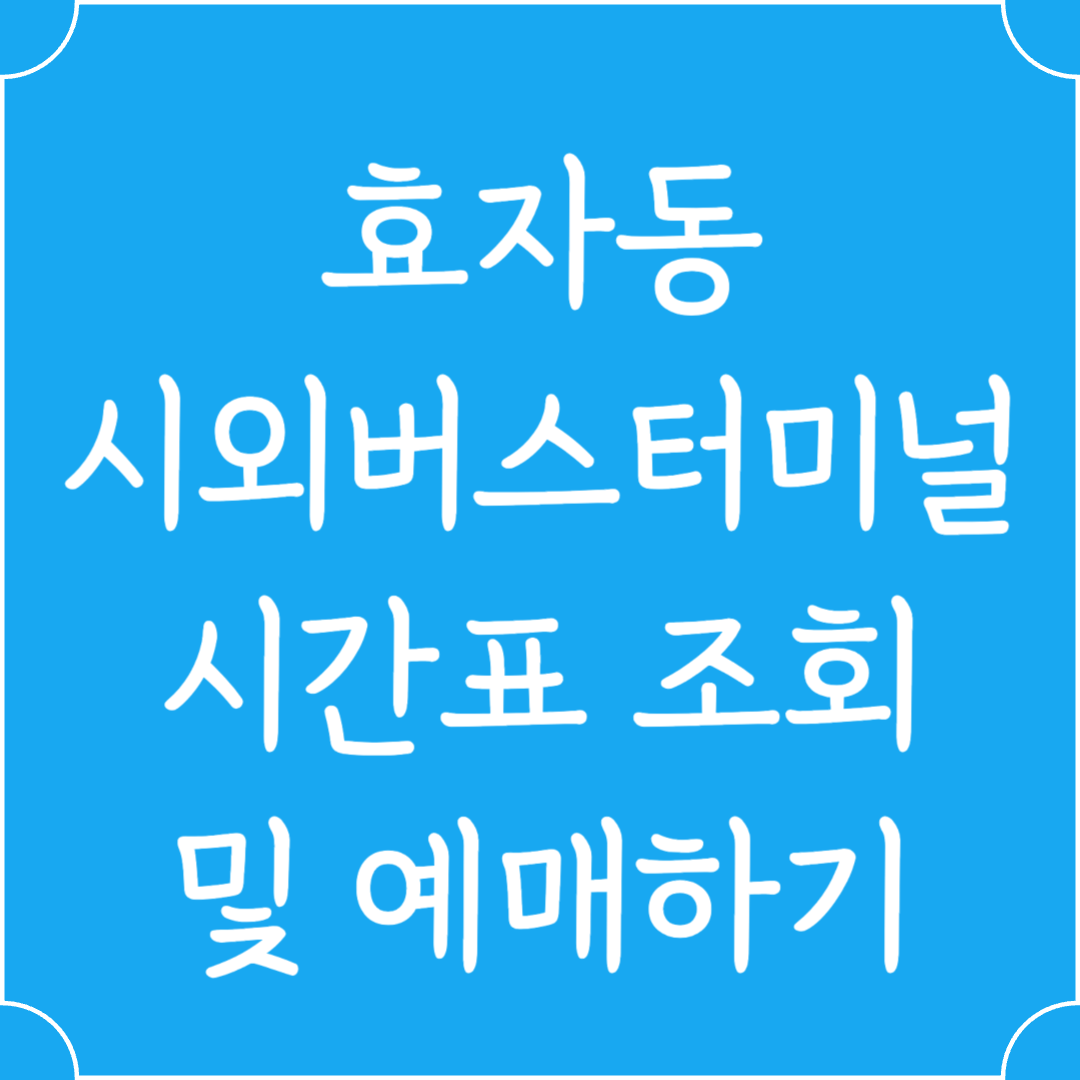 효자동 시외버스터미널 시간표조회 및 예매하기