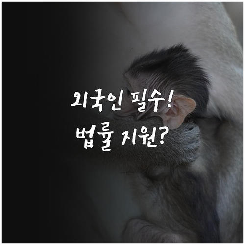 국내 체류 외국인 2025 범죄 피해..