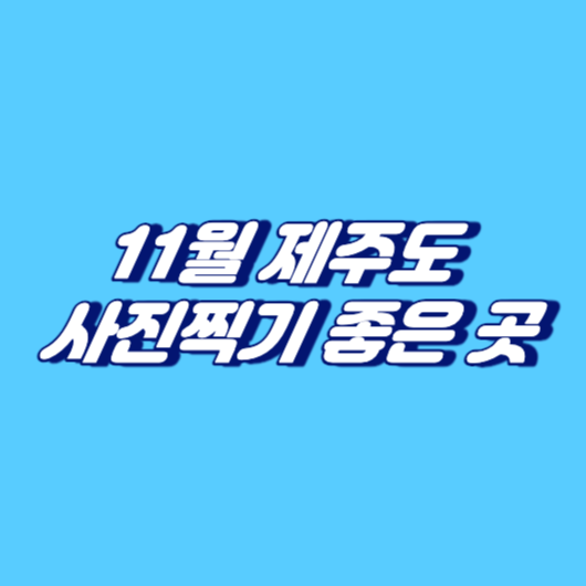 11월 제주도 사진찍기 좋은 곳
