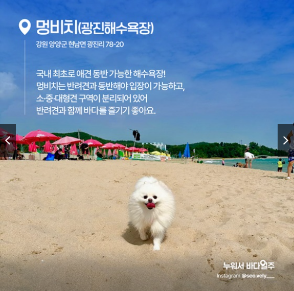멍비치|강원 양양군 광진해변