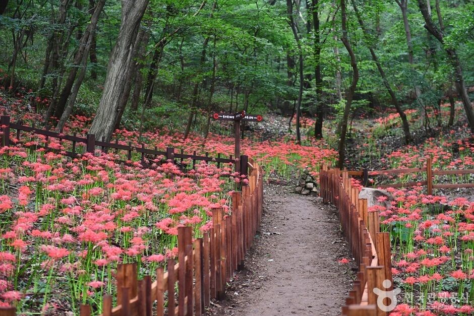 함평 가볼만한곳 베스트 10