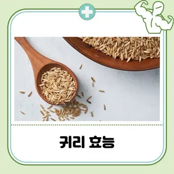 귀리 효능 부작용 밥짓기 먹는법 오트밀 차이_18